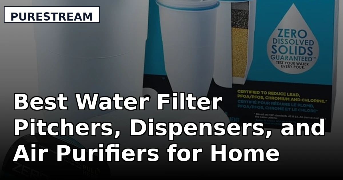 Best Water Filter Pitchers, Dispensers, and Air Purifiers for Home