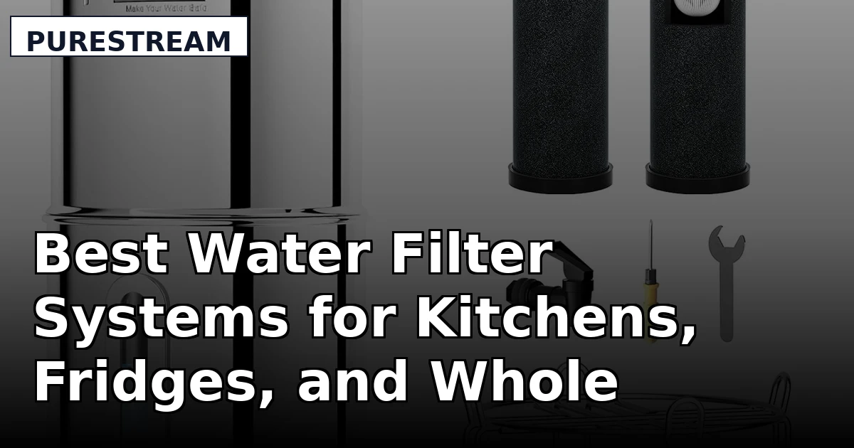 Best Water Filter Systems for Kitchens, Fridges, and Whole Homes
