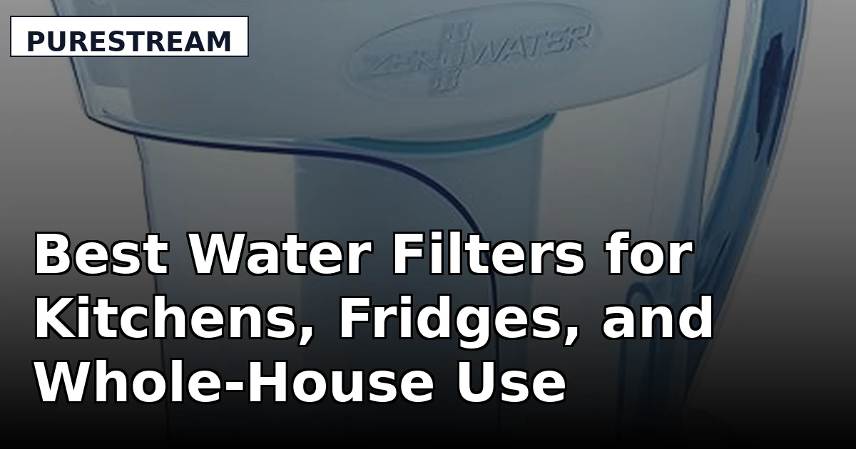 Best Water Filters for Kitchens, Fridges, and Whole-House Use